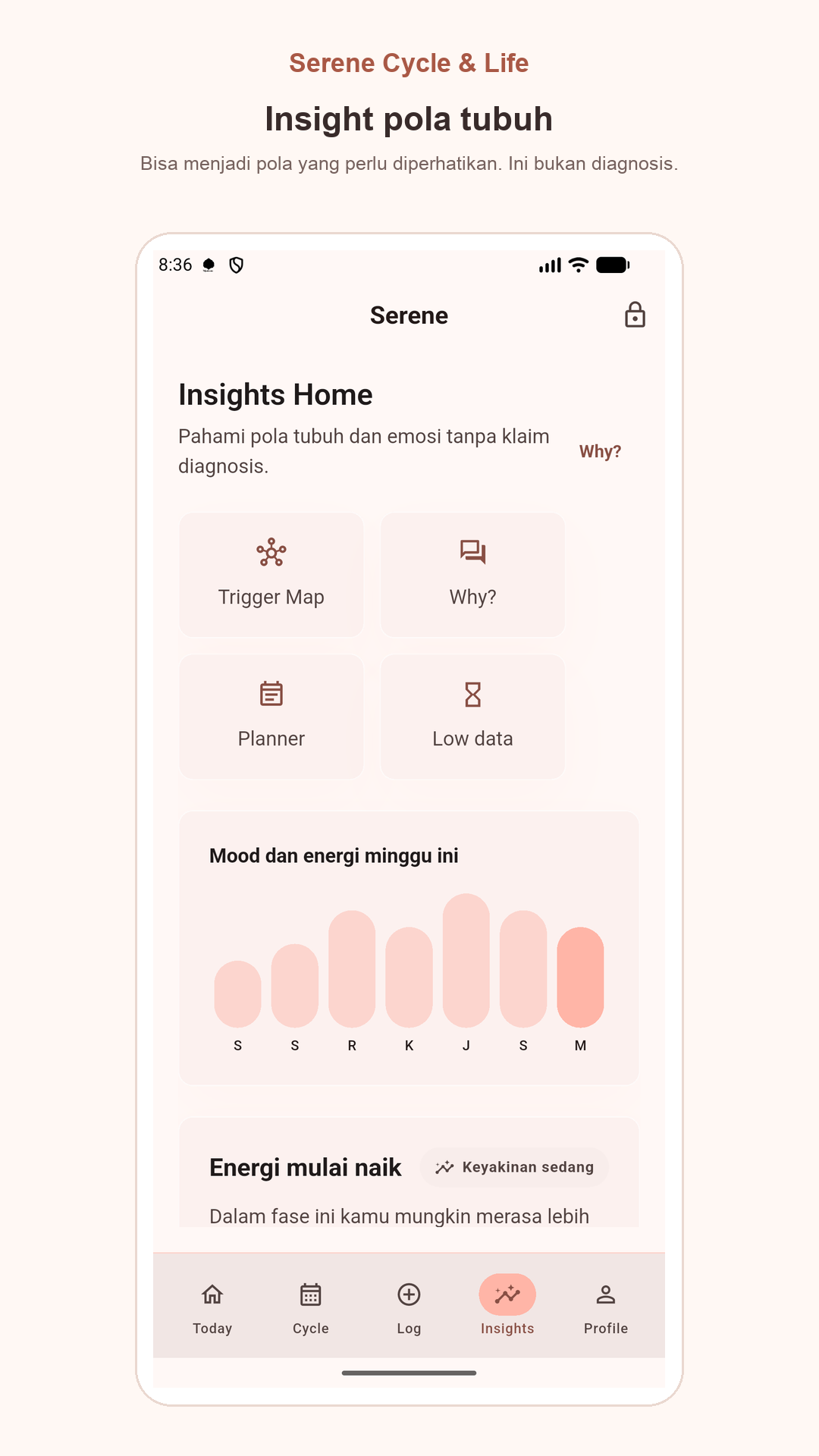 Preview layar insight Siklia