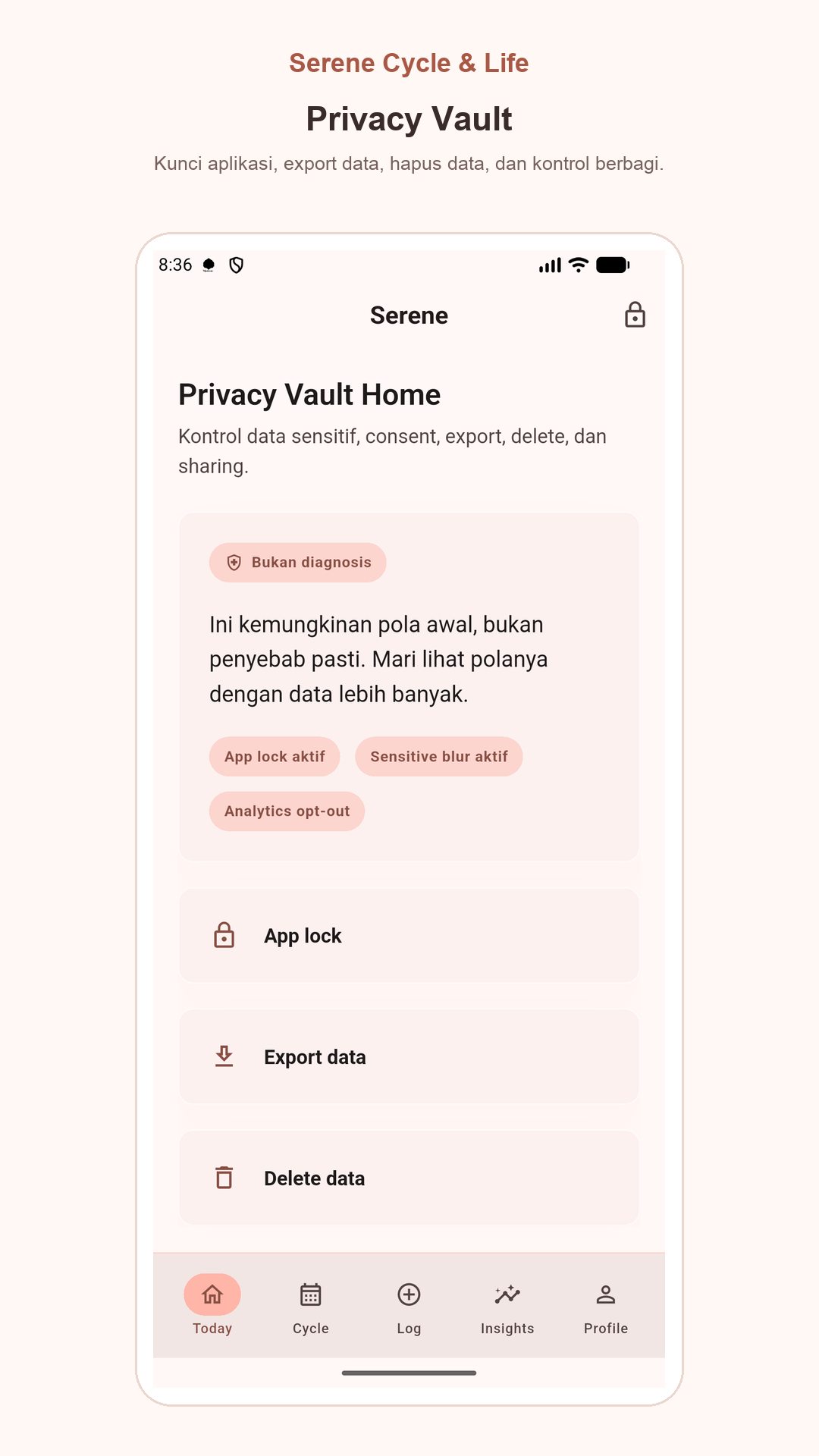 Preview layar privacy vault Siklia